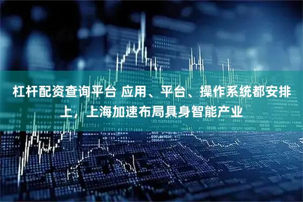 杠杆配资查询平台 应用、平台、操作系统都安排上，上海加速布局具身智能产业